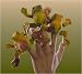 Folkmanis Mini Frog Finger Puppet