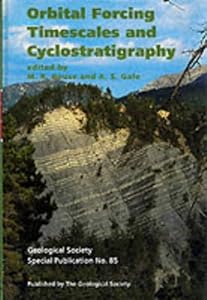 Orbital Forcing Timescales and Cyclostratigraphy