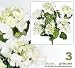 Three 22" Hydrangea Artificial Silk Flowers for Home Decoration