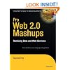 Pro Web 2.0 Mashups: Remixing Data and Web Services (Expert's Voice in Web Development)