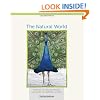Art Quilt Portfolio: The Natural World: Profiles of Major Artists, Galleries of Inspiring Works