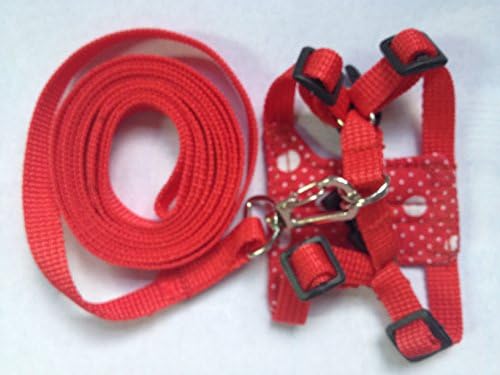 Soft Harness and Leash Lead Set for Small Pet Ferrent Guinea Pig Rat (Red)