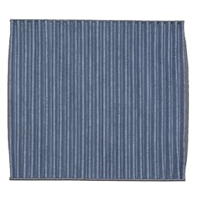 FilterMaster Activated Carbon Cabin Filter for Infiniti FX35 (2003~2005), FX45 (2003~2005), G35 (2003~2005); Nissan Murano (2003~2006), Sentra (2000~2006), Maxima (2004~2006), Altima (2002~2006) BACK ORDER, ETA 12/21/07