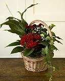 Christmas Holiday Planter Basket