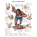 3B Scientific Lehrtafel - Sportverletzungen
