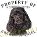 cocker_spaniel1cocker spaniel - Cocker Spaniel BLACK Mousepad Dog Mouse Pad Property