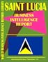 Saint Vincent and The Grenadines Business Intelligence Report (World Business Intelligence Report Library)