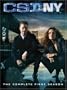 CSI: NY