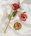 Single 24K Gold Real Rose