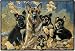 German Shepherd Family Indoor/ Outdoor Doormat Polyanna Pickering