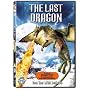 The Last Dragon [DVD]