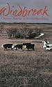Windbreak: A Woman Rancher on the Northern Plains