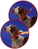 Premier Collar (Small, 3/4), Color: Gold