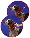 Premier Nylon Martingale Collar - Medium - Pink