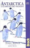 Antarctica: A Guide to the Wildlife (Bradt Travel Guide Antarctica)