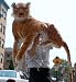GIANT ORANGE BENGAL TIGER 45