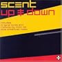 Up and Down