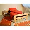 Einzelbett Bett G�stebett 100x200 Buche massiv natur lackiert