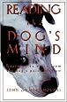 Reading The Dog's Mind: Learning to Train from the Dog's Point of View