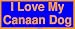 I Love My Canaan Dog Bumper Sticker