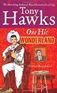 One Hit Wonderland