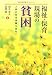 福祉・保育現場の貧困