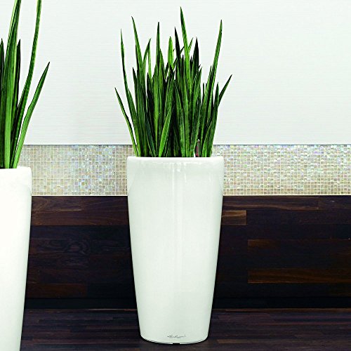 Lechuza Maxi-Cubi Self Watering Planter - Gloss White Lechuza Maxi-Cubi Self Watering Planter - Gloss White