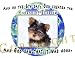 yorkshire_terrier6yorkshire terrier - Yorkshire Terrier Yorkie Mouse Pad Dog Mousepad Creation