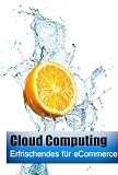 Cloud Computing im eCommerce (German Edition)