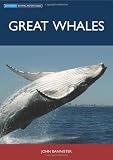 Great Whales (Australian Natural History Series)