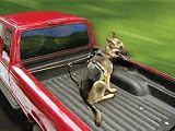 Pet Supplies : Kurgo K-9 Truck Tether