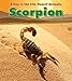 Scorpion (Heinemann Read and Learn: A Day in the Life: Desert Animals)