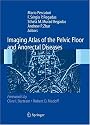 Imaging Atlas of the Pelvic Floor and Anorectal Diseases