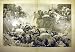 1895 Catastrophe Bouzey Animals Dead Amato French