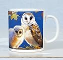 Show Me The Way Barn Owl Mug
