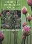 Creating a Low-allergen Garden