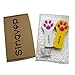 SingyepPaw Style Cat Catch the Interactive LED Light Pointer Exercise Chaser Toy Pet Scratching Training Tool(2 Pack)