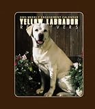 Labrador Retrievers, Yellow Hardcover Weekly Engagement