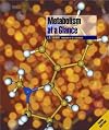 Metabolism at a Glance (At a Glance (Blackwell))