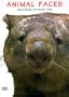 Animal Faces