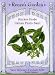 Basil Italian Pesto Heirloom Seeds 500 Seeds