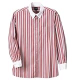 POLO BCS NbNB.DVc iIW~zCgj i3L 4L 5L 6Lj