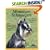 Miniature Schnauzers (Complete Pet Owner's Manuals)