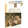 The Yellowstone Wolves: The First Year
