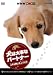 NHK趣味悠々 犬は大事なパートナー 上手な飼い方、しつけ方