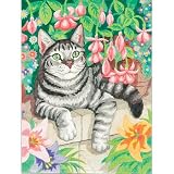 Eigenschaften Dimensions 91171 / Katze Malen nach Zahlen mit Buntstifte