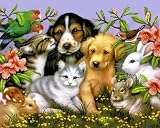 Falcon Deluxe Puzzle - Loveable Pets (500 pieces)
