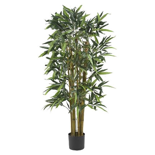 4′ Biggy Bamboo Silk Tree