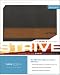 Book cover of TNIV Strive: The Bible for Men.