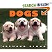 Dogs